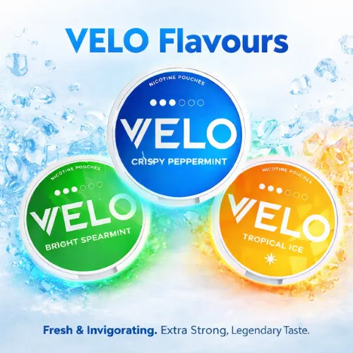 Velo In Special Best Premium Flavours